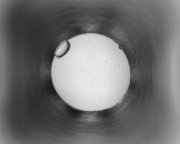 X0000088150179200706111450