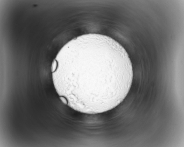 X0000088150181200706111450