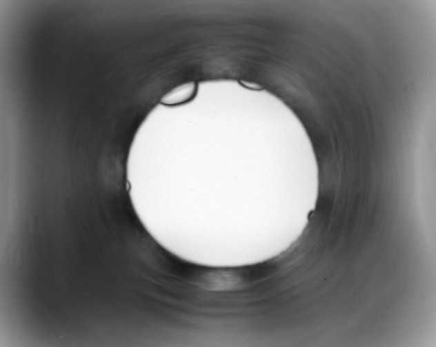 X0000088150183200706111450