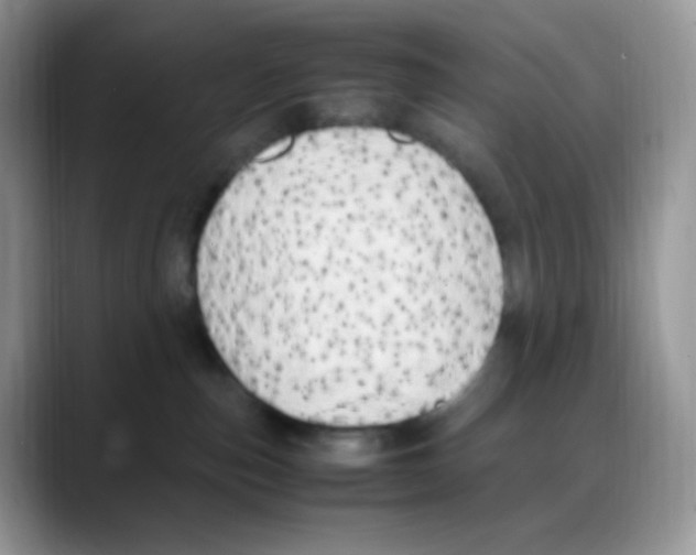 X0000088150187200706111450