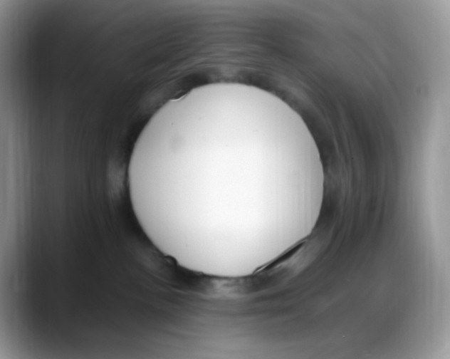 X0000088150188200706111450