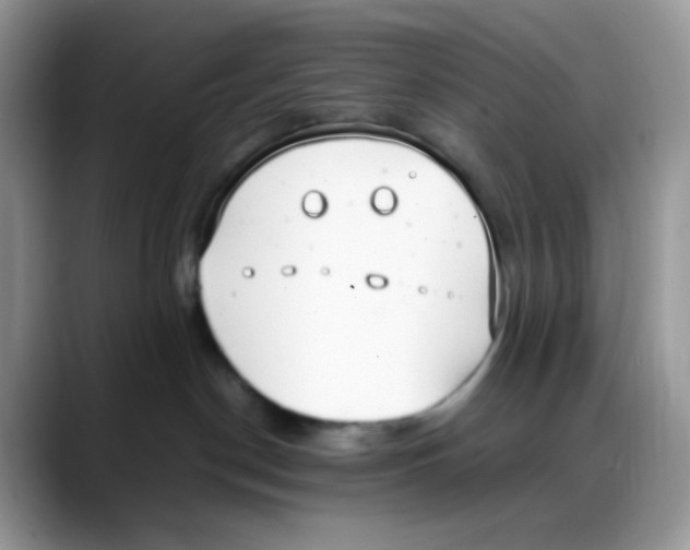 X0000088150190200706111450