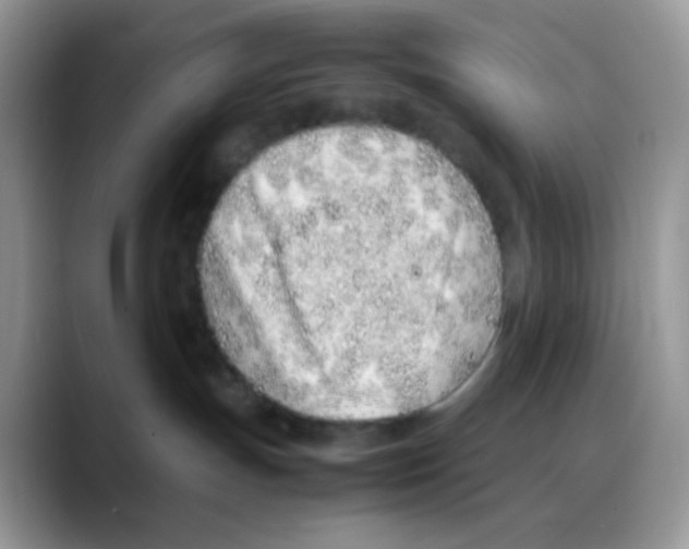 X0000088150191200706111450