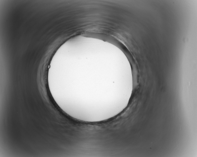 X0000088150193200706111449