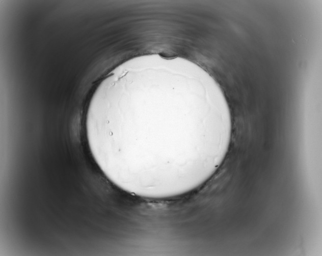 X0000088150194200706111449