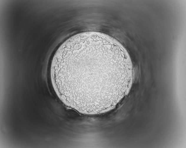 X0000088150195200706111449