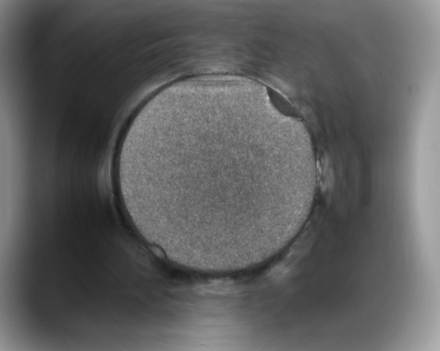 X0000088150196200706111449