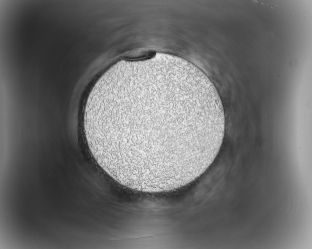 X0000088150199200706111449