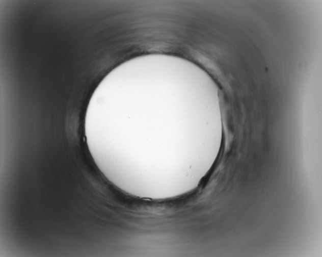 X0000088150201200706111449