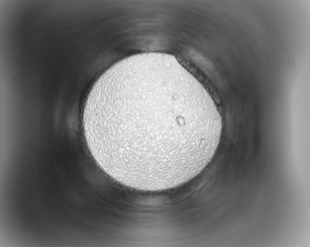 X0000088150202200706111449