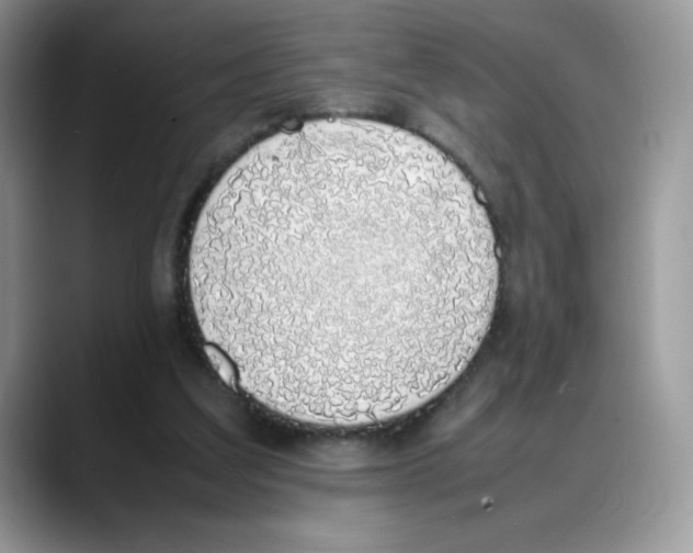 X0000088150203200706111449