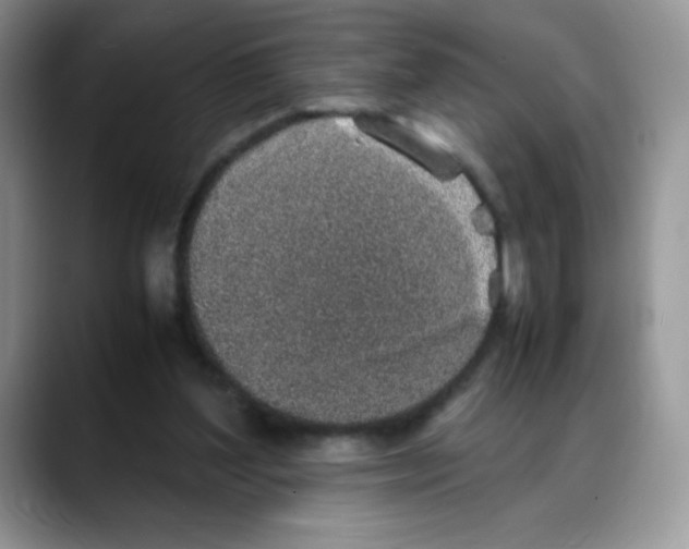 X0000088150204200706111449