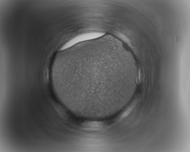 X0000088150205200706111449