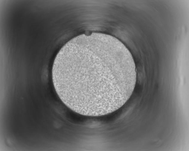 X0000088150207200706111449