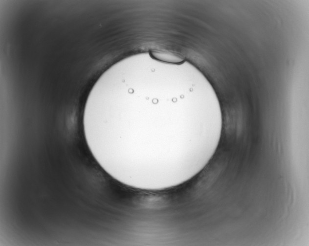 X0000088150208200706111449