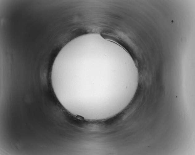 X0000088150209200706111449