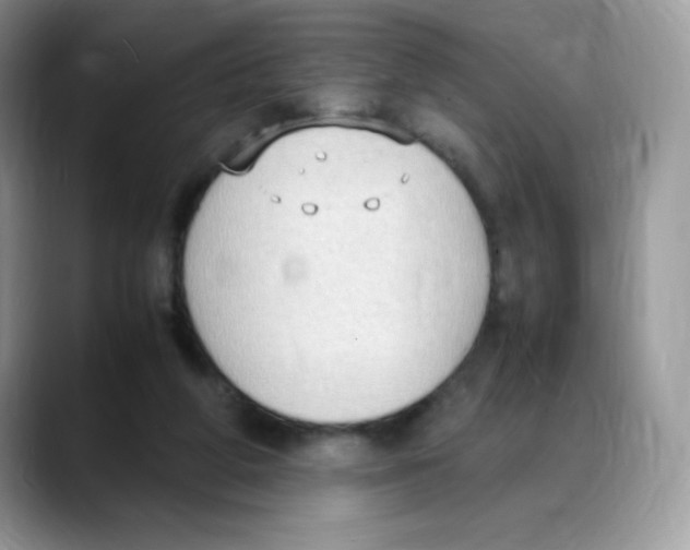 X0000088150210200706111449