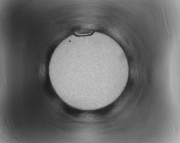 X0000088150211200706111449