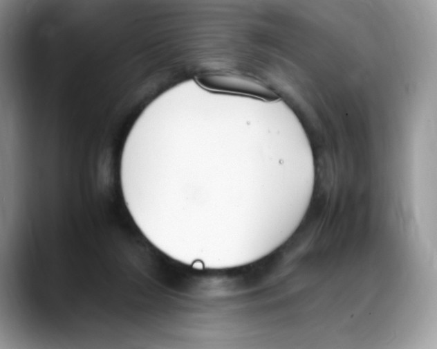 X0000088150212200706111449