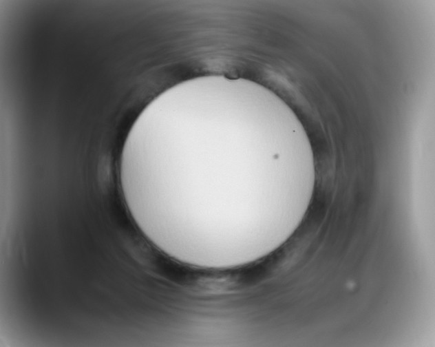 X0000088150213200706111449