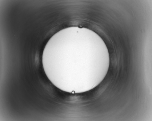 X0000088150216200706111449