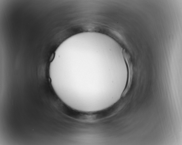 X0000088150217200706111449