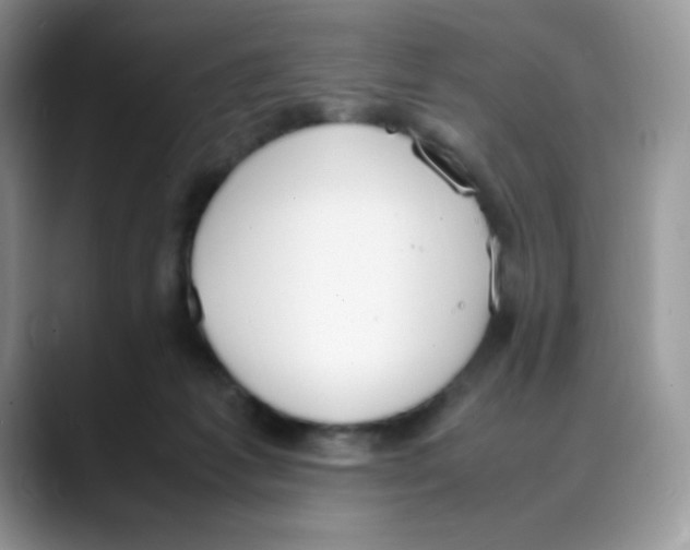 X0000088150221200706111449