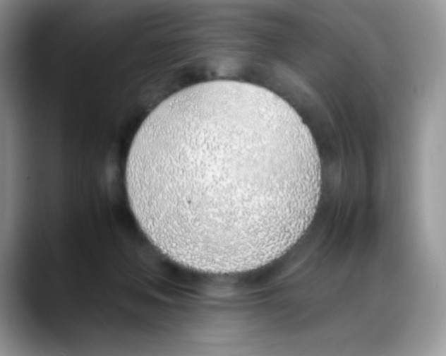 X0000088150222200706111449