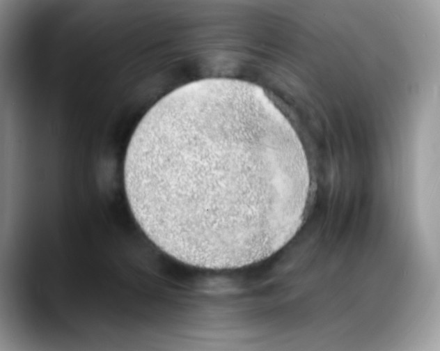 X0000088150224200706111449