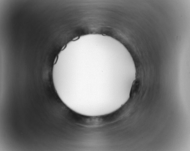 X0000088150225200706111449