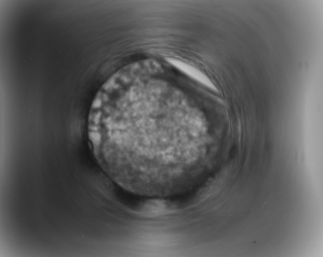 X0000088150227200706111449