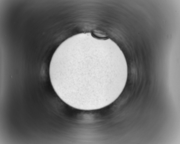 X0000088150228200706111449