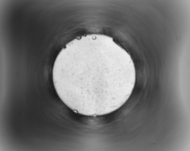 X0000088150229200706111449