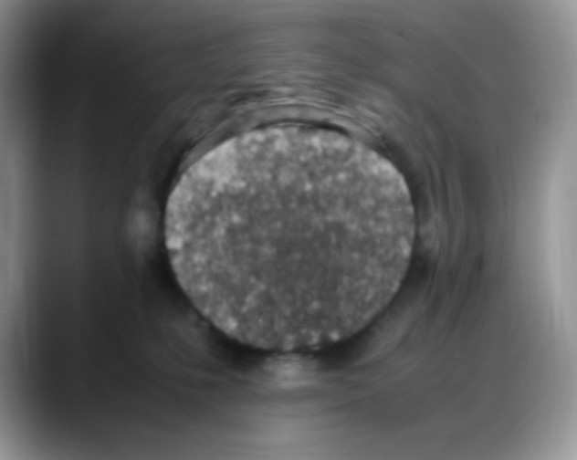 X0000088150231200706111449