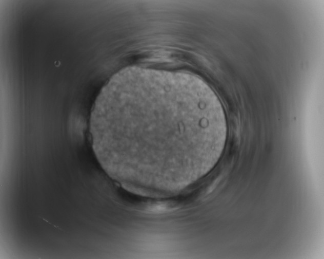 X0000088150235200706111449