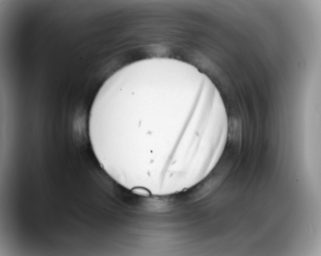 X0000088150238200706111449