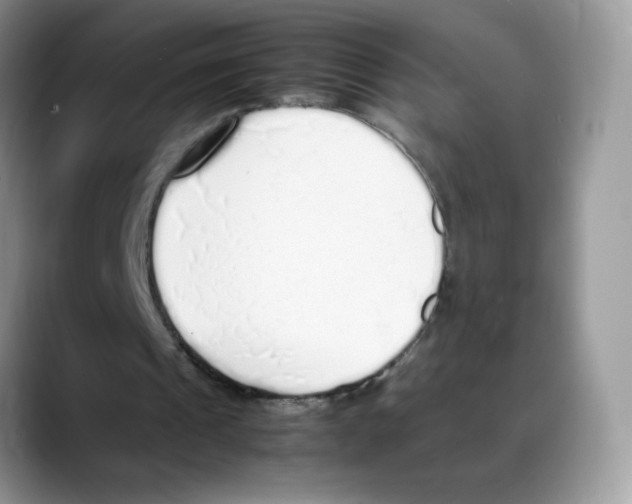 X0000088150241200706111448