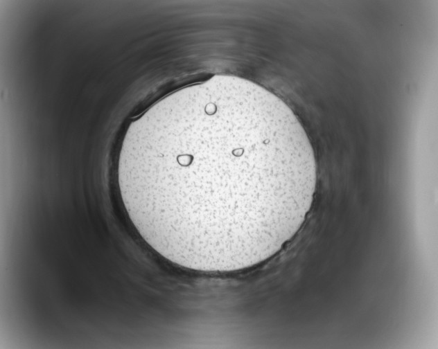 X0000088150242200706111448