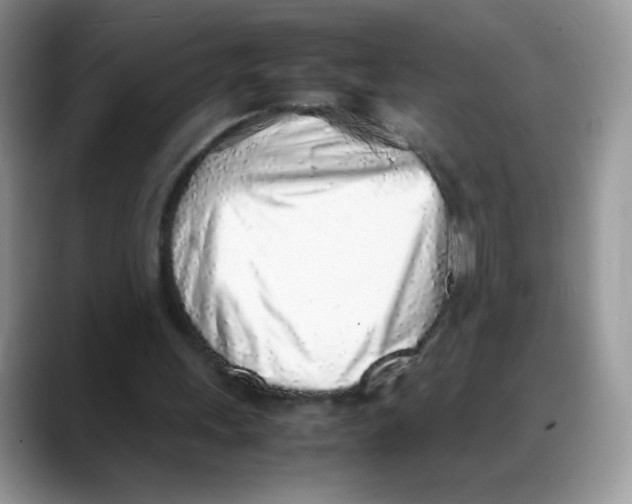 X0000088150243200706111448