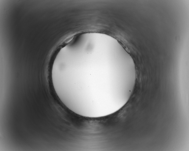 X0000088150244200706111448