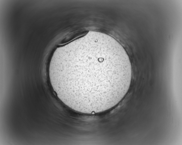 X0000088150245200706111448