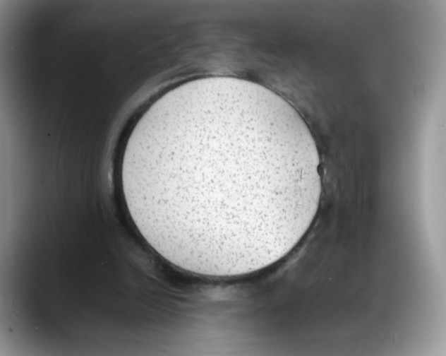 X0000088150246200706111448