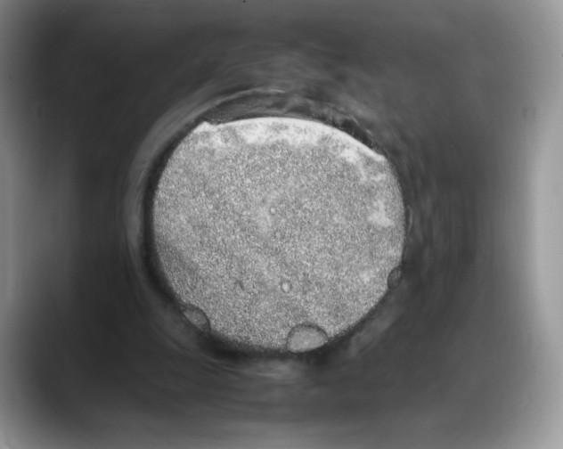 X0000088150247200706111448