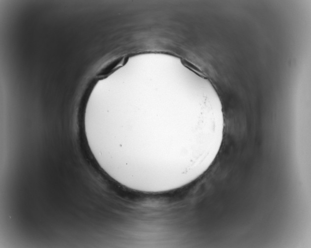 X0000088150248200706111448