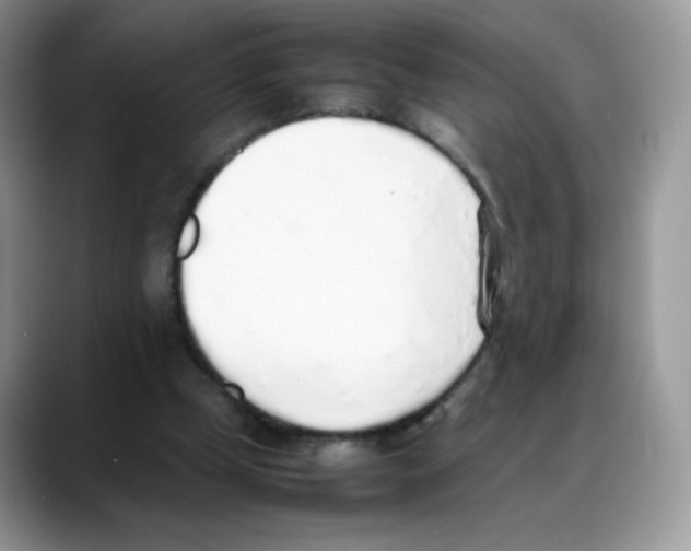 X0000088150249200706111448