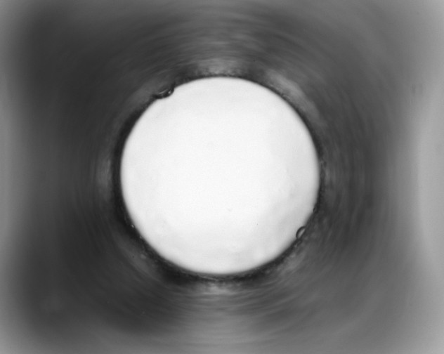 X0000088150250200706111448