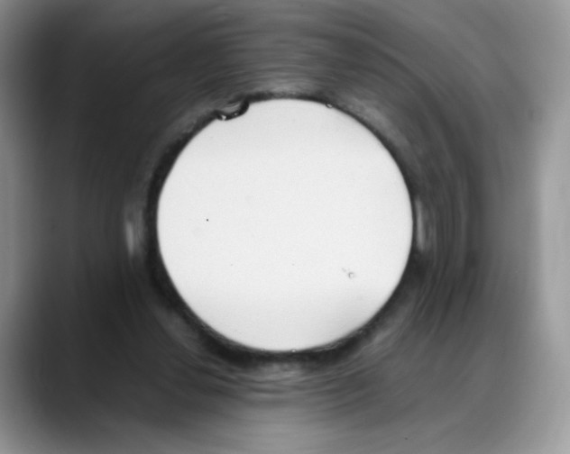 X0000088150252200706111448