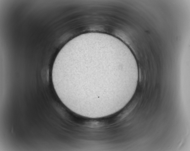 X0000088150253200706111448