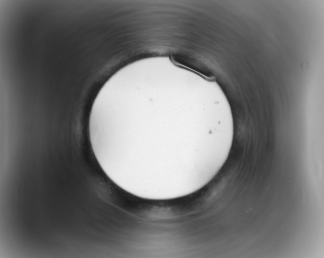 X0000088150256200706111448