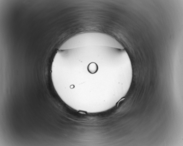 X0000088150260200706111449